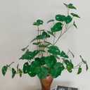 ATFL Fake Tropical Monstera Plant,6 Pcs 32'' Faux Monstera Plant,Artificial Palm Plants Indoor Without Pot (Green)