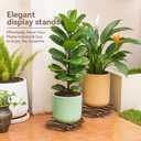2 Pack Plant Stand Indoor and Outdoor, 12IN Premium Wooden Plant Caddy with Wheels, Heavy Duty Plant Stands with 360° Lockable Wheels, Classic Plant Cart