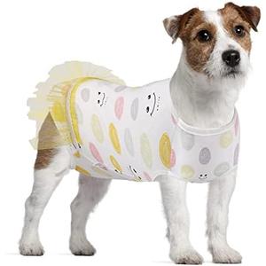 Etdane Dog Diapers Sanitary Panties Physiological Period Onesies Surgical Recovery Suits for Male and Female Dogs Yellow Smile/XL