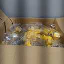 Tioncy 120 Pcs Clear Plastic Honey Bottles 16 Oz Honey Jars with Lids Honey Bottle Containers Empty Honey Bear Bottle Squeeze Honey Bottle for Easy Storing and Dispensing