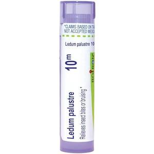Boiron Ledum Palustre 10M for Insect Bites or Bruising - 80 Pellets, Pack of 6