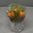 Jenaai Easter Carrot Decorations Vintage Artificial Potted Carrots Table Decor Woven Fabric Carrots for Spring Easter Tiered Tray Centerpiece Farmhouse Home Office Tabletop Holiday Party