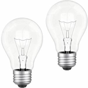 100 watt Incandescent Light Bulbs,A19 Clear Incandescentt Rough Service Light Bulb,Dimmable Medium E26 Base Light Bulbs,A19 Incandescent Light Bulb,2700K Warm White,100 WATT Bulbs (2)