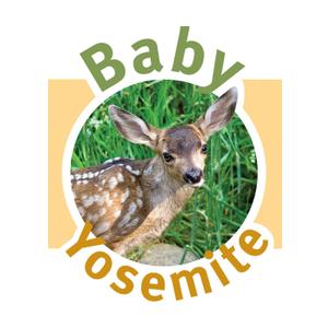 Baby Yosemite