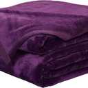 EASELAND Soft Blanket Queen Size Winter Warm Fuzzy Microplush Lightweight Thermal Fleece Blankets for Couch Bed Sofa,90x90 inches,Purple