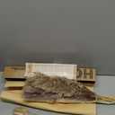 96PCS Natural Dried Pampas Grass Boho Home Decor Bouquet Phragmites Dried Flowers Bouquet for Wedding Floral Arrangements Living Room Decorations (96PCS)