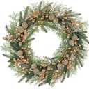 Artificial Christmas Wreath for Front Door - 24 Inch Winter Wreaths with Gold Berries & Frosted Apples Faux Greenery for Wall Window Porch Farmhouse Home Holiday Indoor Outdoor Decor