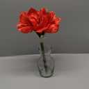 Red Amaryllis Artificial Flower Arrangement 11.8" Faux Silk Amaryllis in Glass Vase with Faux Water Pebbles Fake Floral Centerpiece for Home Office Room Table Shelf Rustic Décor