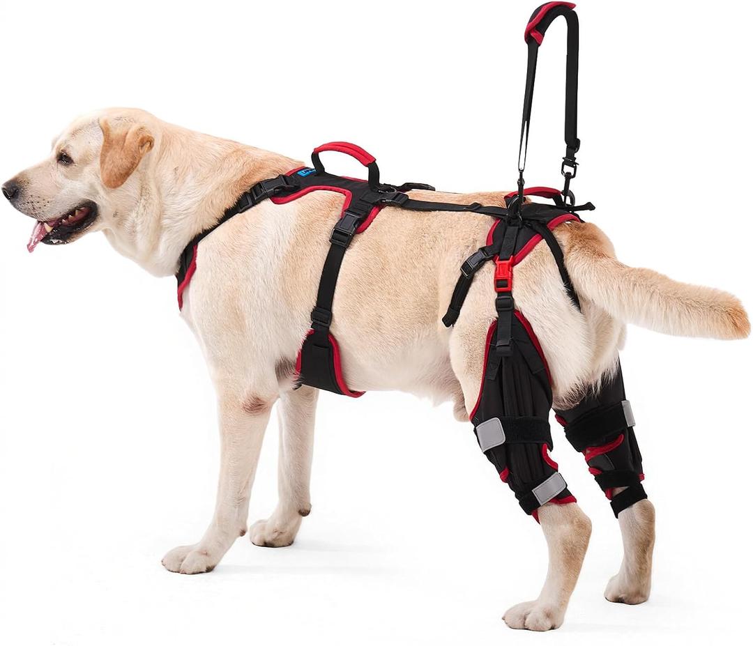 Dog Knee Brace with Lift Harness for Back Legs, Set of 2 Adjustable Non-Slip Support for Large & Senior Dogs, ACL/CCL Injury & Mobility Aid, Black, X-Large