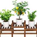 Tovacu Wood Flower Stand Small Plant Stand Indoor Outdoor Plant Shelf Low Window Shelf for Plants Windowsill Plant Rack for Patio Balcony Hallway Garden (33.5Long, Multiple Combination Way)