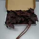 Fall Artificial Plum Cimicifuga Swag for Front Door Mailbox 21 Inch Fall Cimicifuga Ramosa Leaves Swag Faux Leaves Garland for Decorating Outdoor Autumn Decoration Window Mantel Hanging Decor (Purple Red)