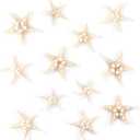 Super Z Outlet Starfish Natural Knobby Mini Beach Sea Stars for Wedding Seashell Crafts (12 Piece)