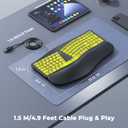 MEETION Ergonomic Keyboard Wired, 7 Colors Transparent Backlit, 4 Brightness, 1 RGB Breathing Backlit, Comfortable Wrist Rest Cushion, USB-A/USB-C Adapter Ergo Keyboard for Windows Mac Computer Laptop