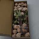 Faux Kiku Flower, 10 Stems with 5 Heads Each & 4 Branches Eucalyptus Stems, Artificial Small Mini Chrysanthemum Flowers for Aesthetic Room Decor, Floral Arrangements Centerpiece, Beige