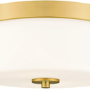 Emak 11 Inch Brushed Gold Flush Mount Ceiling Light Fixture, 2Light Fixtures Ceiling Mount with Milk Glass Shades for Hallway, Kitchen, Bathroom, Dining Room, FM082GDML