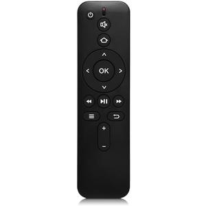 Replacement Voice Remote 0229