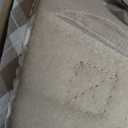 haapaw Dog Harness with Leash Set, No Pull Adjustable Reflective Step-in Puppy Harness with Thickened Padded Vest for Extra-Small/Small Medium Dogs (Beige)