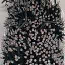 1500 LED 470FT Christmas String Lights Outdoor, 12 Modes and Timer Memory Dimmable, Plug in Waterproof Dark Green Wire Twinkle Fairy Light for for Xmas Yard Tree Wedding Party Decor (Multicolor)