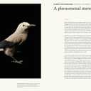 The Animal Mind: Profiles of Intelligence and Emotion