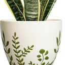 MPotTo Ceramic Pot for Plants 8.2 Inch - Indoor Plant Pot with Drainage Hole and Saucer, Decorative Boho Round Outdoor Planter, Gardening Gifts for Women Men, Room Patio Office Home Decor, White