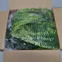 Der Rose 4Pcs Fake Plants Hanging Artificial Ivy Vine Faux Eucalyptus Hanging Plants, Boston Fern, String of Pearls for Living Room Bedroom Boho Wall Shelf Indoor Outdoor Decor (Black Pots-4Pcs Green)