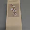 Cocorrna Reed Diffuser Set, Clean Linen 6.7 fl oz Scented Diffuser with Sticks Home Fragrance Reed Diffuser for Bathroom Shelf Decor