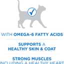 Purina ONE Plus High Protein Cat Food Dry Salmon and Ocean Whitefish Cat Skin and Coat Health Formula - 3.5 lb. Bag (EXP 03/01/27)