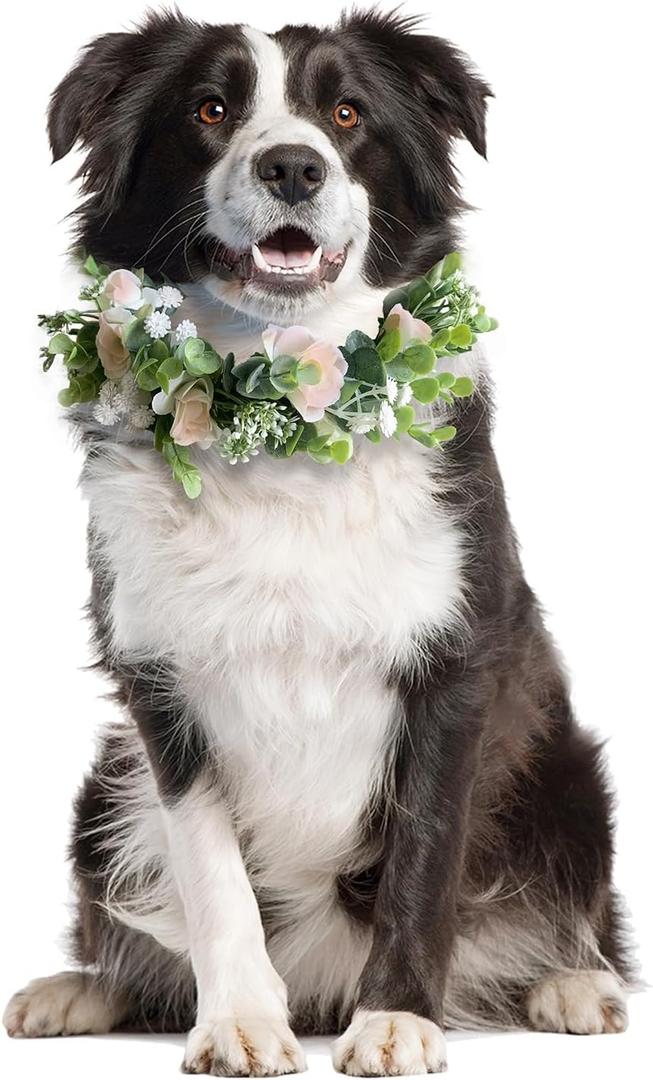 Dog Wedding Flower Collar,Dog Flower Collar,Flower Crown,Dog Wedding Collar,Flower Dog Collar,for Weddings Flower Ring Pets Cats and Dog,Pet Photo Prop.(Pale Pink)