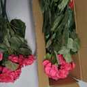 Artificial Geranium Fake Flowers for Outdoors Decoration, 6 Bundles Silk Geraniums Flower UV Resistant Look Real Faux Plants for Outside Planter Front Door Garden Patio Balcony Yard Home, Hot Pink