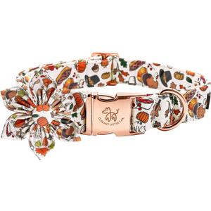 Elegant Little Tail Flower Dog Collar for Small Dogs (Small (Pack of 1), Pumpkin with Turkey)