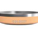Coldest Dog Bowl - Anti Rust Metal, Non Slip, 3 Layers Insulated Stainless Steel Dog Bowls - Spill Proof & Heavy Duty - Water Bowl for Dogs, Cats & Pets, Dish Washer Safe (21 oz, Sahara Tan)