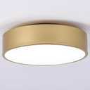 Modern Gold Flush Mount Ceiling Light, 2-Lights Round Ceiling Light, Minimalistic Ceiling Lamp Acrylic Shade Lighting Fixture for Bedroom Laundry Room Bathroom Hallway(11.8 Inch)