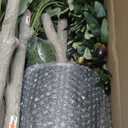 Olive Trees Artificial Indoor, 6FT Tall Faux Olive Tree with Lights, Moss and Planter, Artificial Plants Indoor with Natural Wood Trunk and Lifelike Fruits, Fake Tree for Home Office Living Room Decor