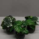 Briful 3PCS Fake Plants Potted Artificial Plants Mini Faux Plants in Black Ceramic Pots Greenery Décor for Home Office Table Room Farmhouse Indoor Decoration