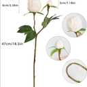 IPOPU Champagne Artificial Peonies 8Pcs Silk Peonies with Stems Real Look Fake Peonies Artificial Flowers for Wedding Centerpieces Bridal/Baby Shower Party Decorations (Champagne)