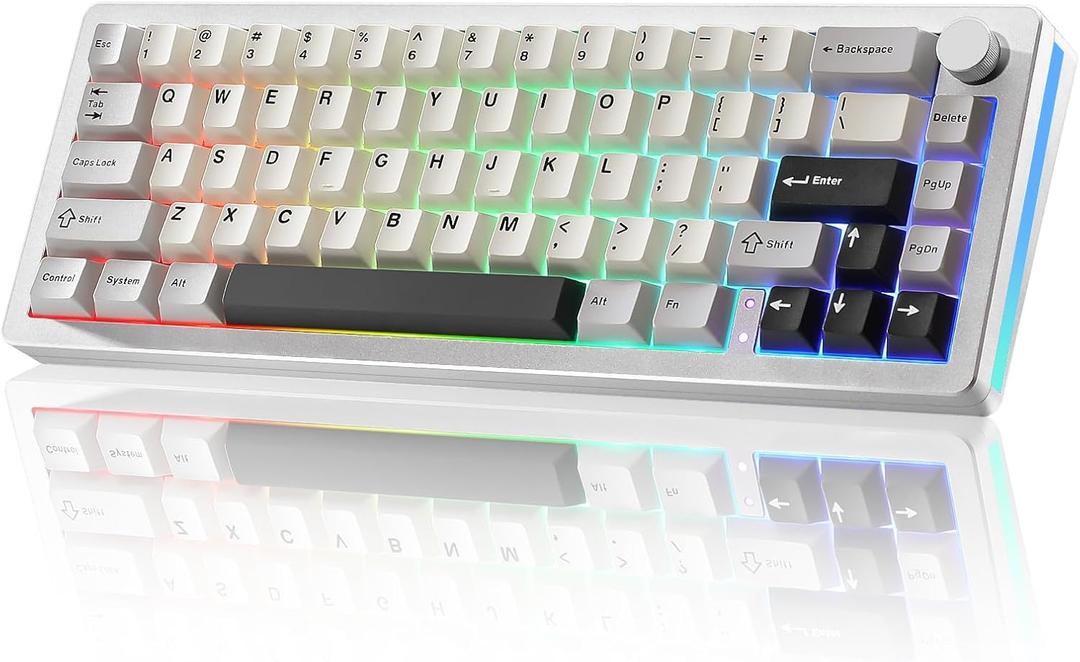 YUNZII AL66 Wireless Mechanical Keyboard,Full Aluminum CNC,65% Knob Control,Bluetooth/2.4G/Wired,Hot Swappable Pre-lubed Switches,Gasket Mounted RGB for Win/Mac(Milk Switch, Silver)