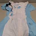 fun shack Alice Costumes Kids, World Book Day Costumes Alice Dress, Alice Costume Girls, World Book Day Costumes Girl (Medium)