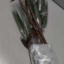 Hairui Lighted Christmas Pine Branches 32IN with Timer, Tree Branch Lights Battery Operated and USB Plug in for Room Fireplace Thanksgiving Christmas Decor (Vase Excluded)