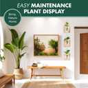 · GARDEN REPUBLIC · Propagation Stations Set of 3 - Propagation Vases for Plants - Hanging Wooden Wall Planter and Glass Test Tubes - Indoor Plant Holder, Hydroponic Decor