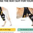 Dog Knee Brace for Torn ACL Hind Leg, Rear Leg Cruciate Ligament Braces for Dogs,Strong Support to Reduce Joint Pain and Muscle Sore, with Side Stabilizers for Back Leg Large