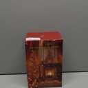 Christmas Snowman Snow Globe, Cardinal Musical Snow Globe Lantern Lights with 6H Timer Battery & USB Powered, Retro Style Holiday Glitter Globe for Xmas Home Decoration Holiday Party Gifts (Xty-3xrhn)