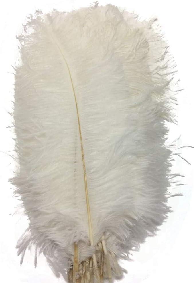 MELADY Pack of 50pcs Natural Ostrich Feathers 12-14inch for Home Wedding Party Decoration (White)