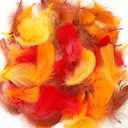 Lyrow 400 Pcs Thanksgiving Fall Feathers DIY Craft Color Feathers Dream Catcher Decoration Natural Fluffy Dress up Party Decoration, 2-4 Inches (Bright Color)