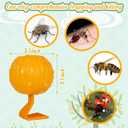 Qualirey 10 Set Sticky Fruit Fly Trap Balls Adhesive Fungus Gnat Sticky Balls for Plants Fly Catching Indoor Outdoor Garden Kitchen Gnat Flying Insects Traps (Orange)