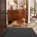 DEXI Front Door Mat Indoor Entrance, 4x6 Non Slip Entryway Doormat Dirt Trapper, Absorbent Entry Mats for Inside House, Patio, Porch, Dark Grey