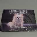 Long Haired Chihuahua Calendar 2026 Monthly Wall Calendar 12 Month | American Made In The USA
