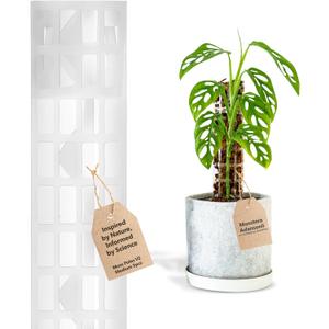 V2 Medium GrowPole - Stackable Plastic Moss Poles for Climbing Plants, Monstera Plant Support-Plant Climbing Pole, DIY Plant Sticks Support. Works for Philodendron and Anthuriums - 5 Pcs