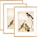 11x14 Picture Frame Set of 3, Gold Metal Photo Frames with HD Glass, Fits 8x10 with Mat or 11 x 14 without Mat, Display for Wall