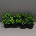 Der Rose Set of 4 Pack Small Fake Plants Mini Artificial Faux Plants Indoor for Bathroom Farmhouse Room Table Decor