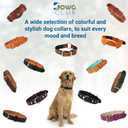Leather Dog Collar for Medium Dogs, Orange, 1 Inch Wide, Genuine Leather, Heavy Duty with Soft Inner Padding, Comfortable and Durable (Medium (Fit Neck Size 14.5"-18.5"), Tangerine Orange)